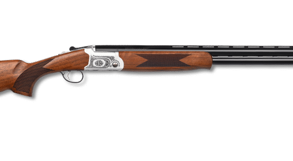 POINTER ACRIUS FIELD 20/26