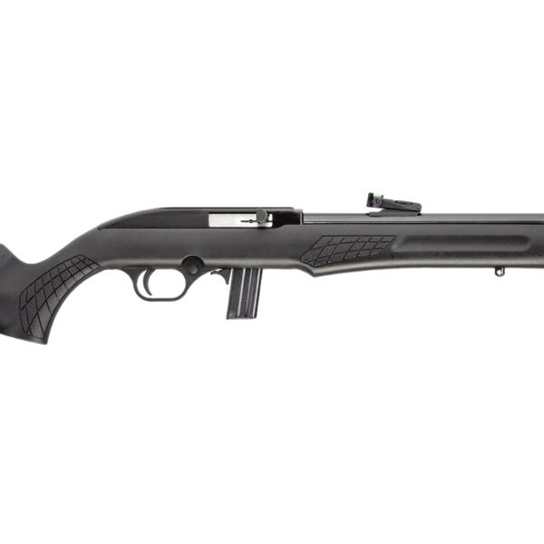 ROSSI RS22 22LR BLK/SYN 18" 10+1 TB#