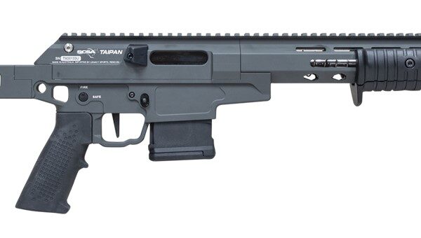 LEGACY SPORTS INTERNATIONAL CITADEL TAIPAN 223REM 16" GRY