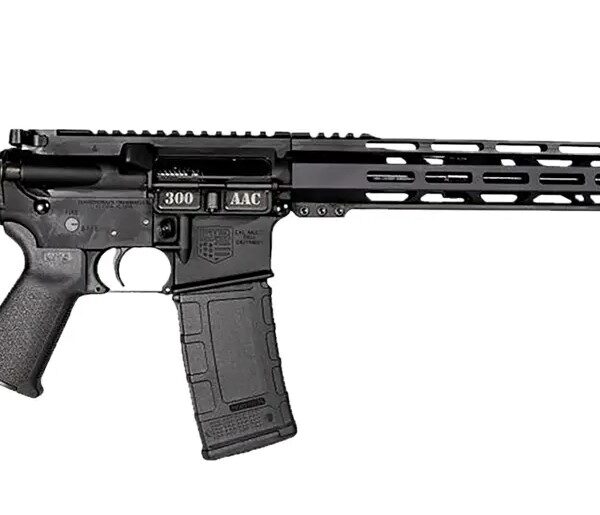 DIAMONDBACK FIREARMS DB15 300BLK 16" 30+1 BLK M-LOK