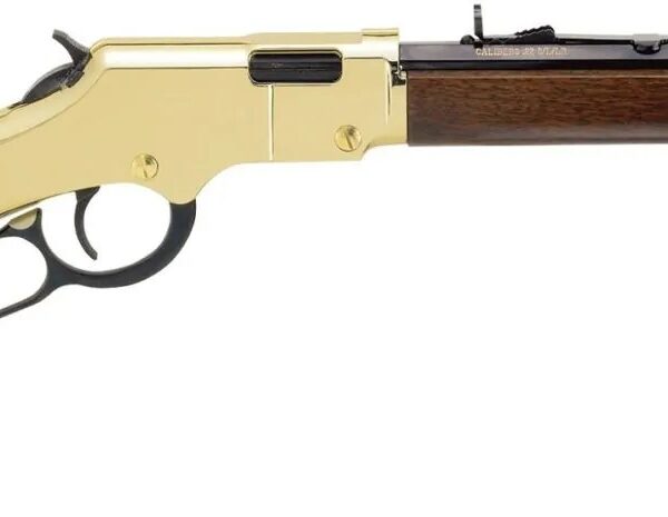 HENRY REPEATING ARMS GOLDENBOY 22LR BL/WD CMPT