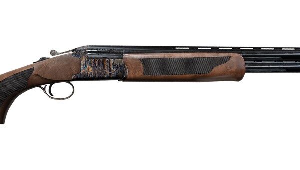 POINTER ACRIUS O/U CCH 20/28