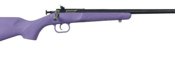 KEYSTONE SPORTING ARMS CRICKETT 22LR BL/PURPLE SYN