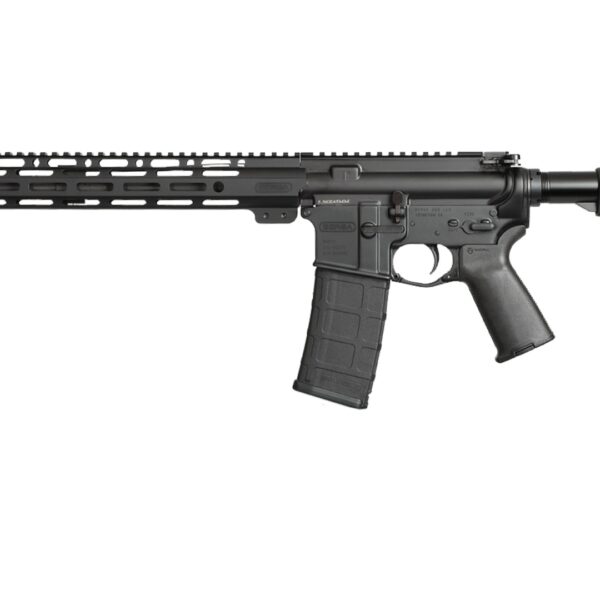 BERSA AR15 5.56MM 30+1 MOE MLOK BLK