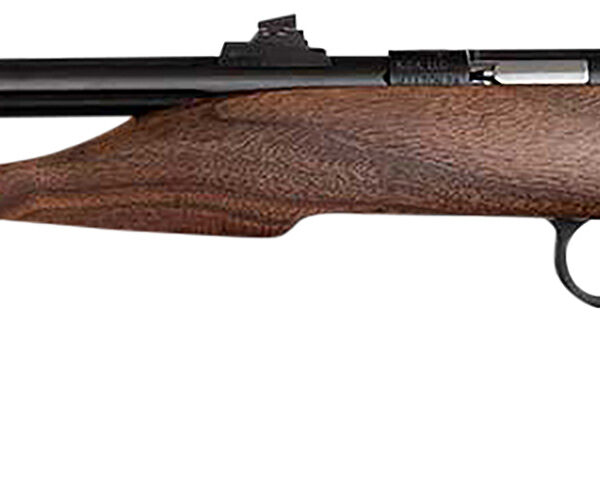Chipmunk 40001 Hunter Youth Frame 22 S/L/LR Single Shot 9" Threaded Blued Steel Barrel, Walnut Frame, EZ Loader