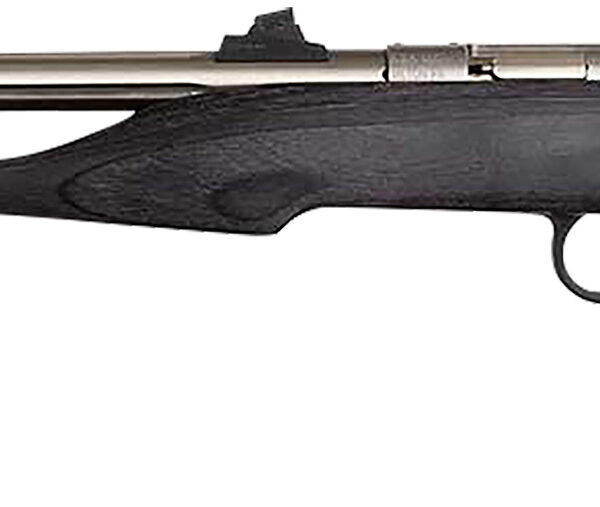 Chipmunk 40103 Hunter Youth Frame 22 LR Single Shot 9" Threaded Stainless Steel Barrel, Black Laminate Frame